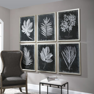 Foliage Framed Prints, S/6 - bold and creative art for unique interior décor | Image 6 | InSTYLE Home & Rugs
