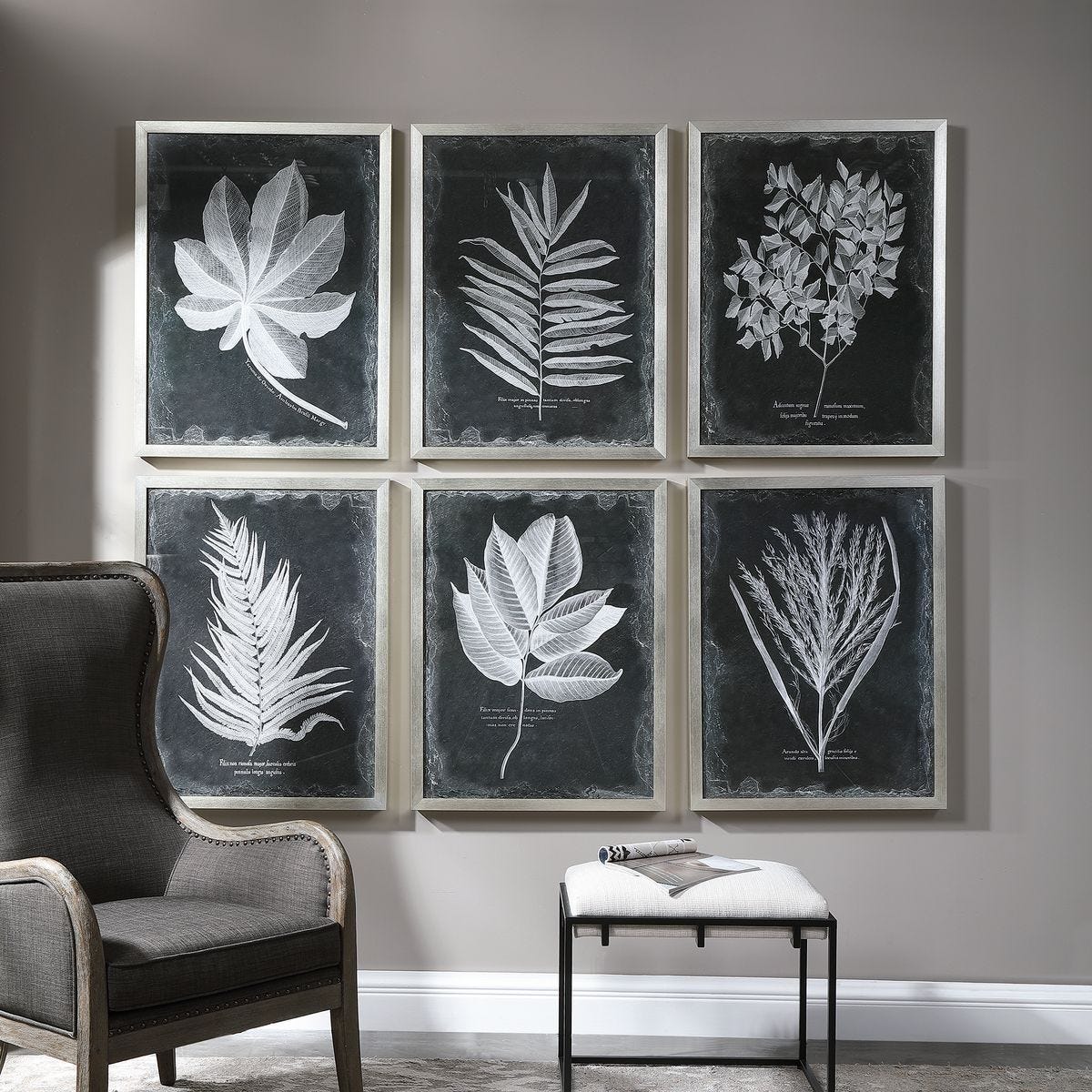 Foliage Framed Prints, S/6 - bold and creative art for unique interior décor | Image 1 | InSTYLE Home & Rugs