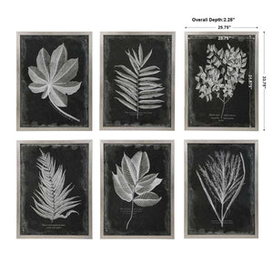 Foliage Framed Prints, S/6 - bold and creative art for unique interior décor | Image 7 | InSTYLE Home & Rugs