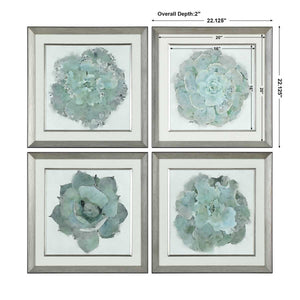 Natural Beauties Framed Prints, S/4 - eye-catching art pieces to enhance your home design | Image 6 | InSTYLE Home & Rugs