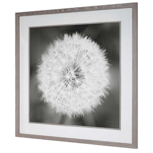 Dandelion Seedhead Framed Print - bold and creative art for unique interior décor | Image 5 | InSTYLE Home & Rugs