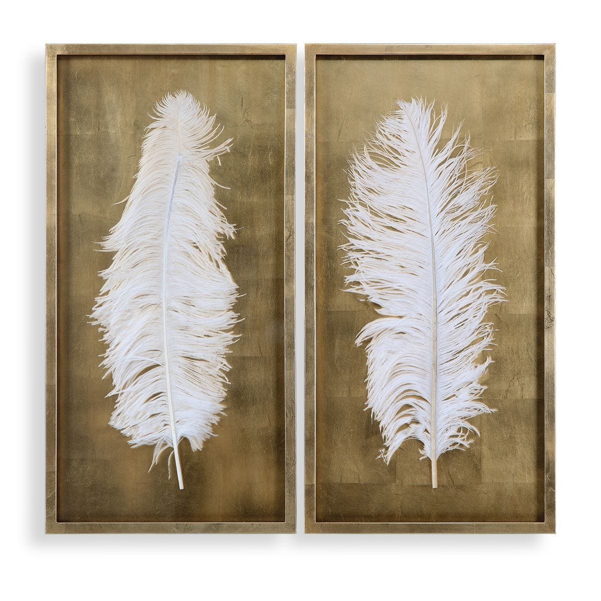 White Feathers Shadow Boxes, S/2 - find the perfect pieces to complement your interior design | Image 1 | InSTYLE Home & Rugs