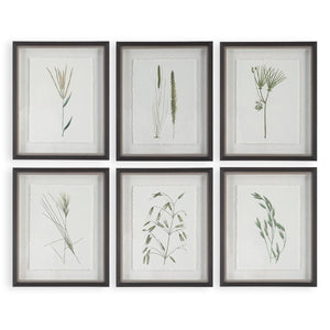 Forest Finds Framed Prints, S/6 - bold and creative art for unique interior décor | Image 2 | InSTYLE Home & Rugs