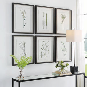 Forest Finds Framed Prints, S/6 - bold and creative art for unique interior décor | Image 8 | InSTYLE Home & Rugs