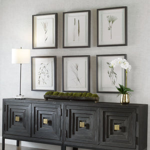 Forest Finds Framed Prints, S/6 - bold and creative art for unique interior décor | Image 3 | InSTYLE Home & Rugs