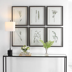 Forest Finds Framed Prints, S/6 - bold and creative art for unique interior décor | Image 4 | InSTYLE Home & Rugs