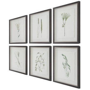 Forest Finds Framed Prints, S/6 - bold and creative art for unique interior décor | Image 5 | InSTYLE Home & Rugs