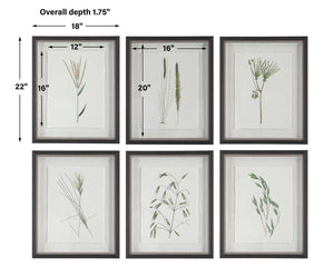 Forest Finds Framed Prints, S/6 - bold and creative art for unique interior décor | Image 9 | InSTYLE Home & Rugs