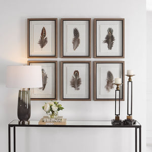 Birds of a Feather Framed Prints, S/6 - bold and creative art for unique interior décor | Image 4 | InSTYLE Home & Rugs