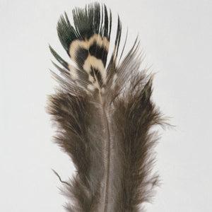 Birds of a Feather Framed Prints, S/6 - bold and creative art for unique interior décor | Image 6 | InSTYLE Home & Rugs
