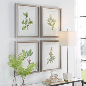Wildflower Study Framed Prints, S/4 - timeless artwork that brings character to any space | Image 6 | InSTYLE Home & Rugs