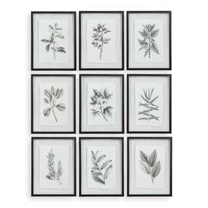 Farmhouse Florals Framed Prints, S/9 3 Cartons - bold and creative art for unique interior décor | Image 2 | InSTYLE Home & Rugs