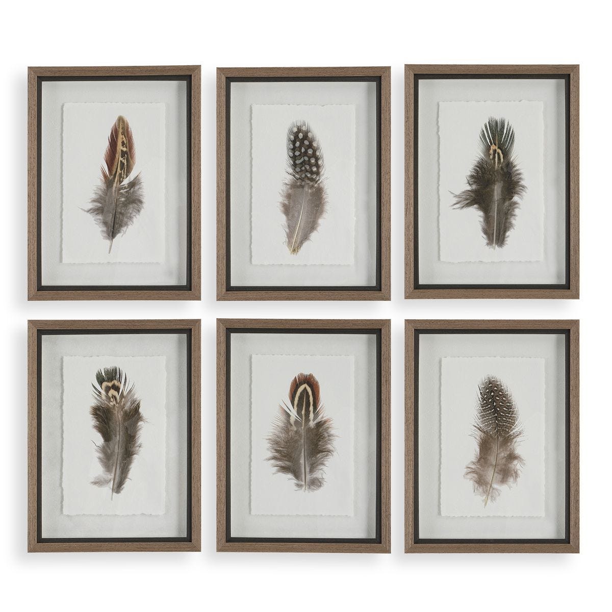 Birds of a Feather Framed Prints, S/6 - bold and creative art for unique interior décor | Image 1 | InSTYLE Home & Rugs
