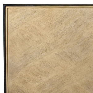 Reina 2 Door Cabinet - perfect storage for drinks and glassware | Image 7 | InSTYLE Home & Rugs