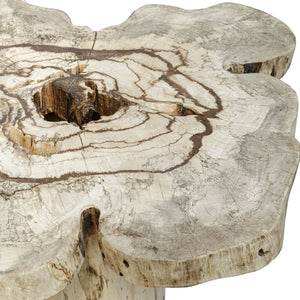 Anzalone Coffee Table - stylish tables for living rooms | Image 5 | InSTYLE Home & Rugs