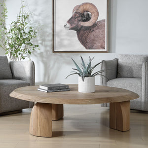 Tiernan Coffee Table, 2 Cartons - functional centerpieces for homes | Image 3 | InSTYLE Home & Rugs