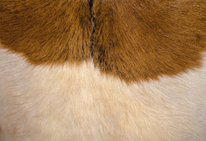 Rio Cool Armchair - modern accent armchair for stylish interiors | Image 9 | InSTYLE Home & Rugs