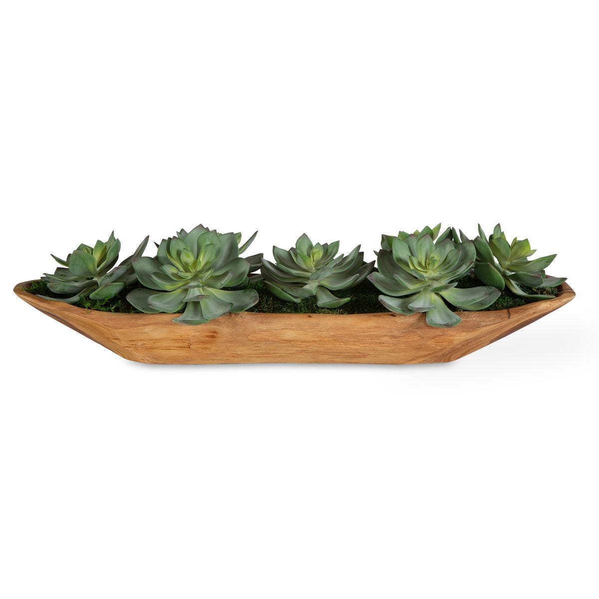 Yuma Succulent Centerpiece - modern accessories for a personalized living space | Image 1 | InSTYLE Home & Rugs