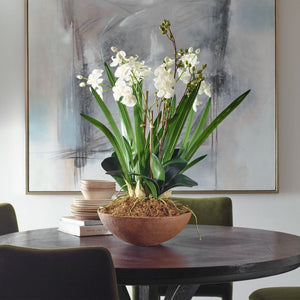 Moth Orchid Planter - decor accents and accessories for every room | Image 1 | InSTYLE Home & Rugs