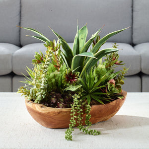 Salar Succulents - decor accents and accessories for every room | Image 1 | InSTYLE Home & Rugs