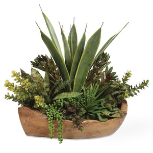 Salar Succulents - decor accents and accessories for every room | Image 2 | InSTYLE Home & Rugs