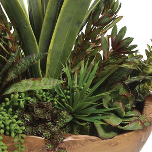 Salar Succulents - decor accents and accessories for every room | Image 4 | InSTYLE Home & Rugs