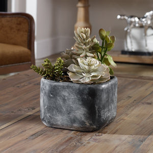 Alverio Succulents - modern accessories for a personalized living space | Image 5 | InSTYLE Home & Rugs