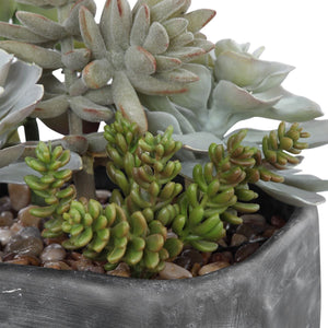 Alverio Succulents - modern accessories for a personalized living space | Image 4 | InSTYLE Home & Rugs