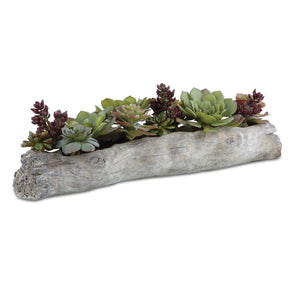 Charita Succulents - stylish home accessories to complete your decor | Image 2 | InSTYLE Home & Rugs