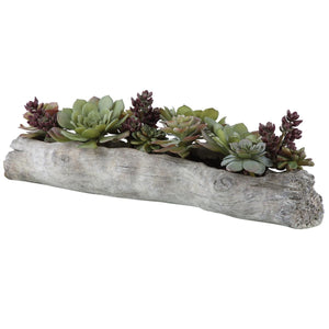 Charita Succulents - stylish home accessories to complete your decor | Image 5 | InSTYLE Home & Rugs