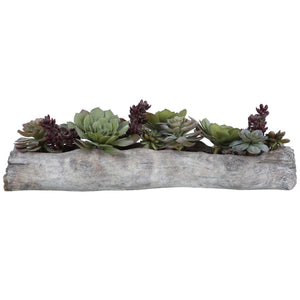 Charita Succulents - stylish home accessories to complete your decor | Image 3 | InSTYLE Home & Rugs