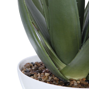 Evarado Aloe Planter - decor accents and accessories for every room | Image 4 | InSTYLE Home & Rugs
