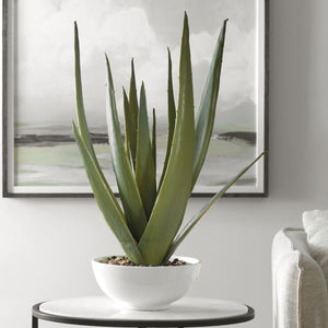 Evarado Aloe Planter - decor accents and accessories for every room | Image 3 | InSTYLE Home & Rugs