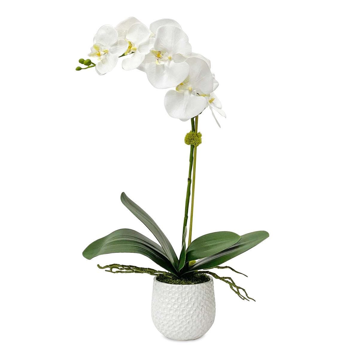 Cami Orchid - decor accents and accessories for every room | Image 2 | InSTYLE Home & Rugs