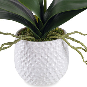 Cami Orchid - decor accents and accessories for every room | Image 3 | InSTYLE Home & Rugs