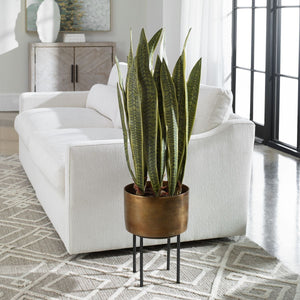 Fasita Planter, 2 cartons - modern accessories for a personalized living space | Image 1 | InSTYLE Home & Rugs