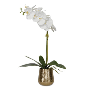 Cami Orchid, Brass - modern accessories for a personalized living space | Image 2 | InSTYLE Home & Rugs