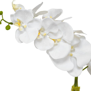 Cami Orchid, Brass - modern accessories for a personalized living space | Image 5 | InSTYLE Home & Rugs