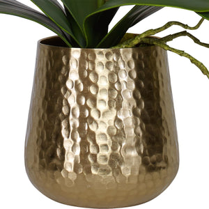Cami Orchid, Brass - modern accessories for a personalized living space | Image 6 | InSTYLE Home & Rugs