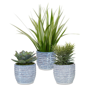 Puebla Greenery, S/3 - decor accents and accessories for every room | Image 2 | InSTYLE Home & Rugs