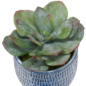 Puebla Greenery, S/3 - decor accents and accessories for every room | Image 3 | InSTYLE Home & Rugs