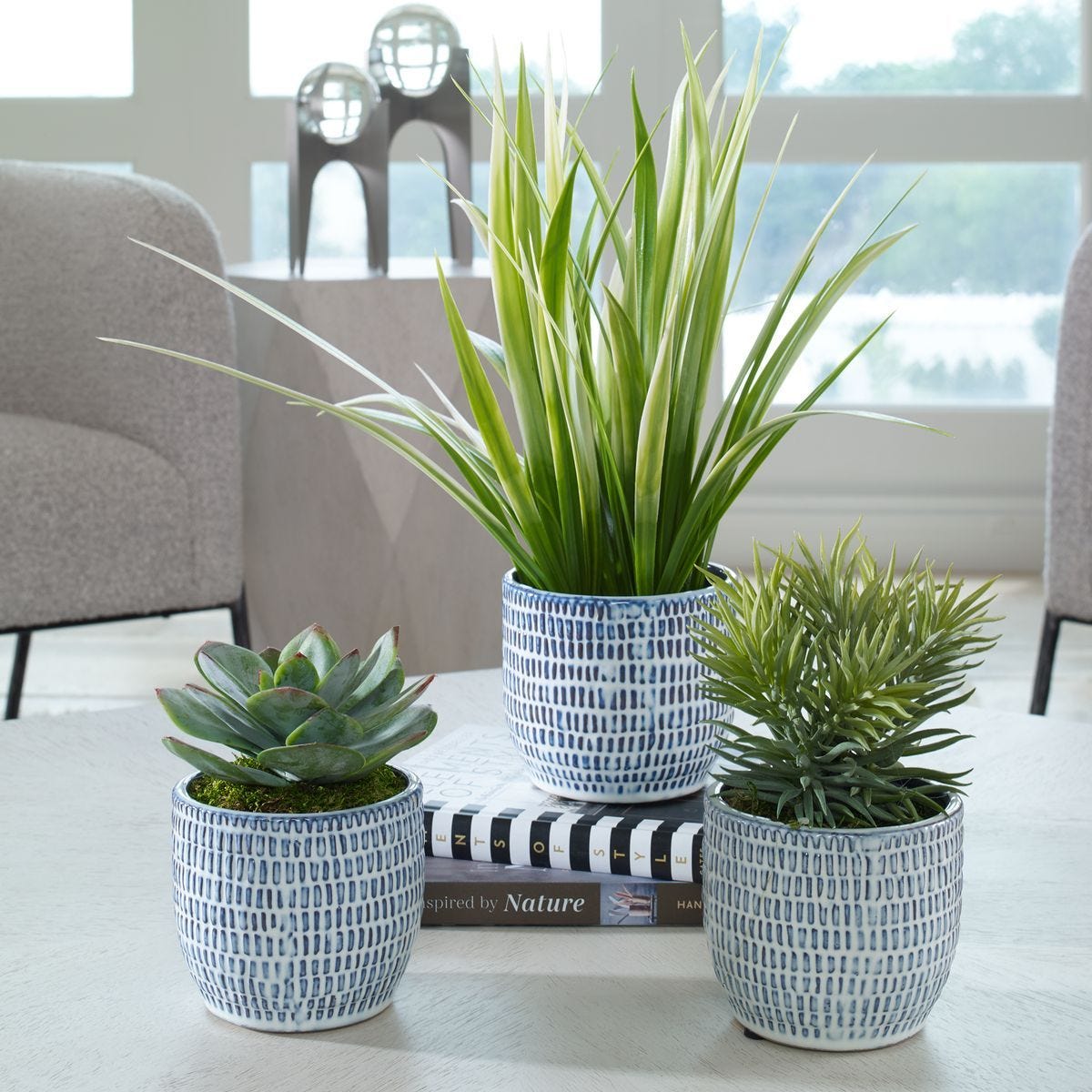 Puebla Greenery, S/3 - decor accents and accessories for every room | Image 1 | InSTYLE Home & Rugs