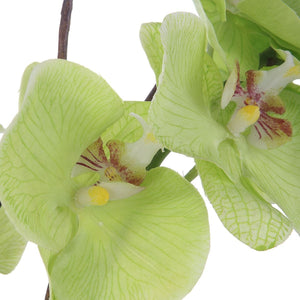 Valdive Orchid - modern accessories for a personalized living space | Image 4 | InSTYLE Home & Rugs