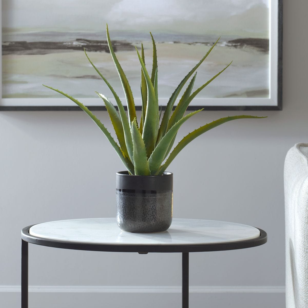 Tucson Aloe Planter - decor accents and accessories for every room | Image 1 | InSTYLE Home & Rugs
