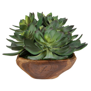 Yuma Succulent Centerpiece - modern accessories for a personalized living space | Image 4 | InSTYLE Home & Rugs