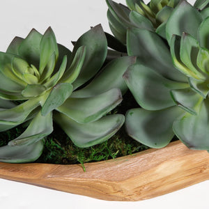 Yuma Succulent Centerpiece - modern accessories for a personalized living space | Image 5 | InSTYLE Home & Rugs