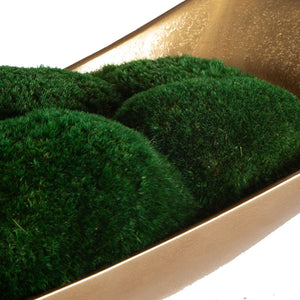 Venice Moss Centerpiece - decor accents and accessories for every room | Image 5 | InSTYLE Home & Rugs