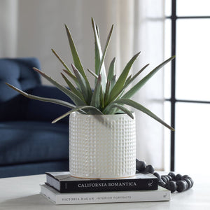 Taos Aloe Centerpiece - decor accents and accessories for every room | Image 1 | InSTYLE Home & Rugs