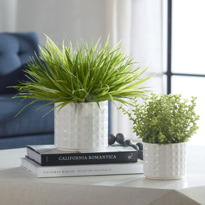 Edgewood Greenery, S/2 - stylish home accessories to complete your decor | Image 1 | InSTYLE Home & Rugs