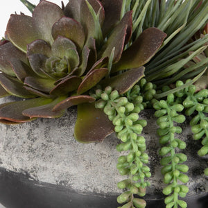 Gobi Succulent Centerpiece - modern accessories for a personalized living space | Image 5 | InSTYLE Home & Rugs